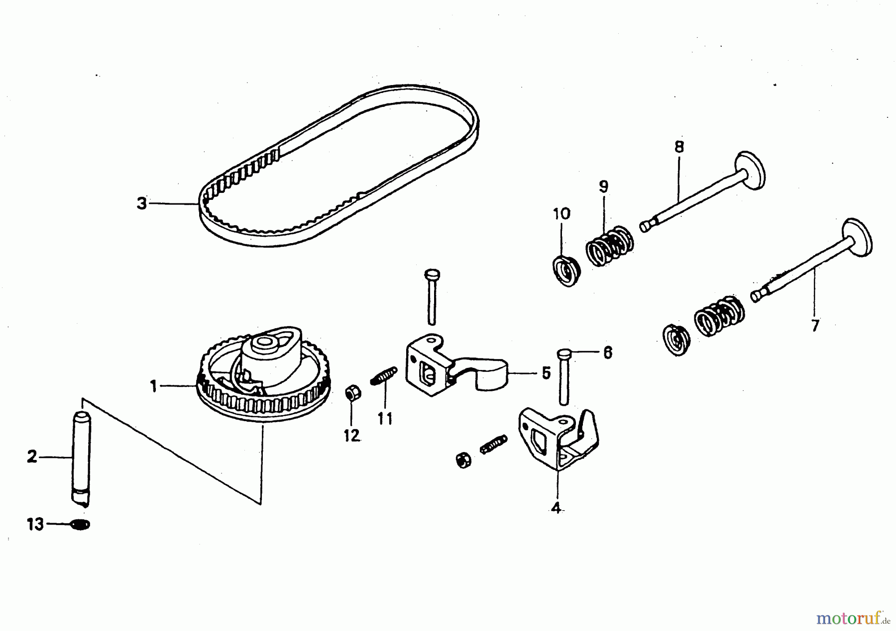  Wolf-Garten Benzinmotoren Honda GCV 160 2098000  (1999) Ventile