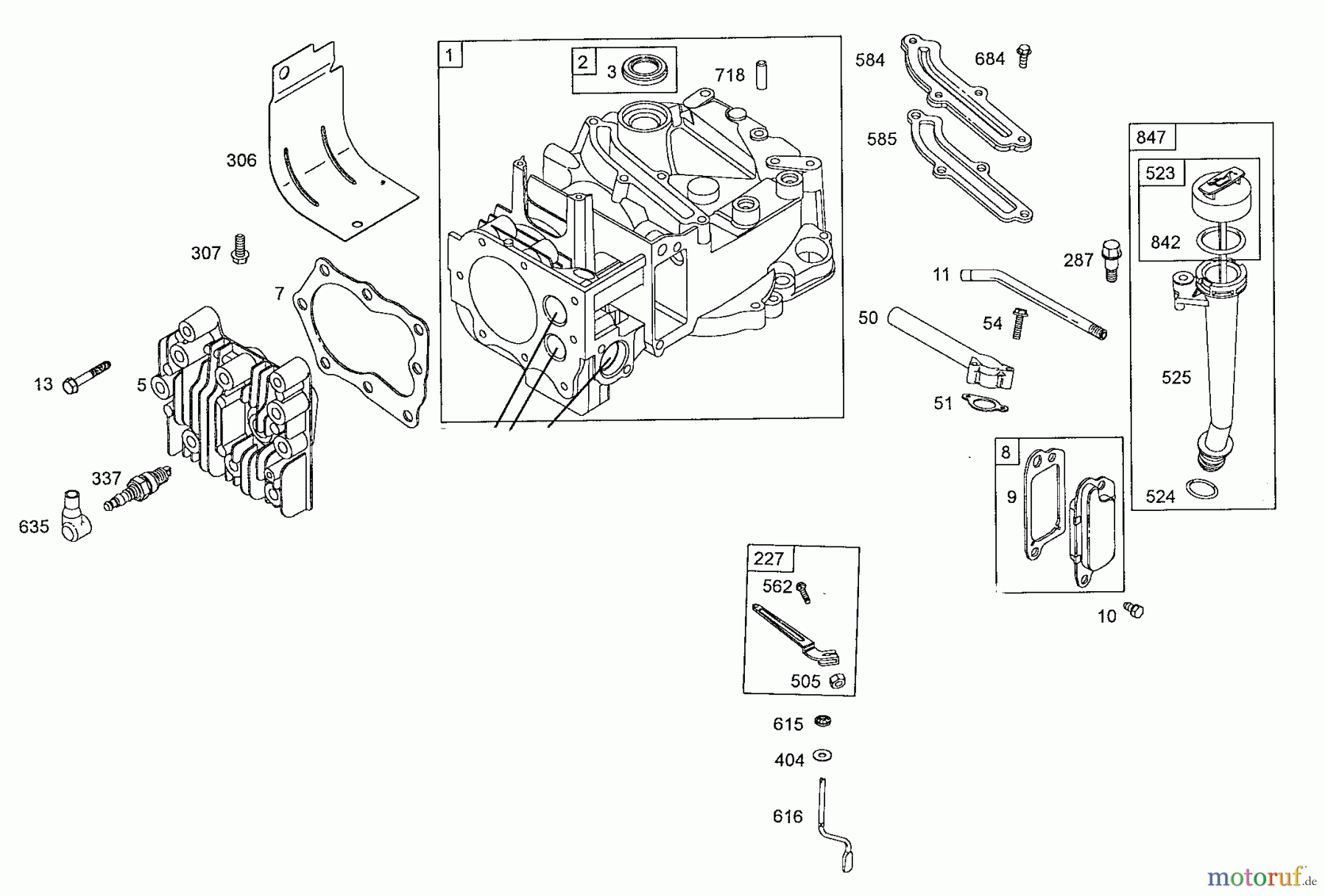  Wolf-Garten Benzinmotoren Briggs&Stratton Quantum 50625 2069075  (2008) Kurbelgehäuse, Zylinderkopf