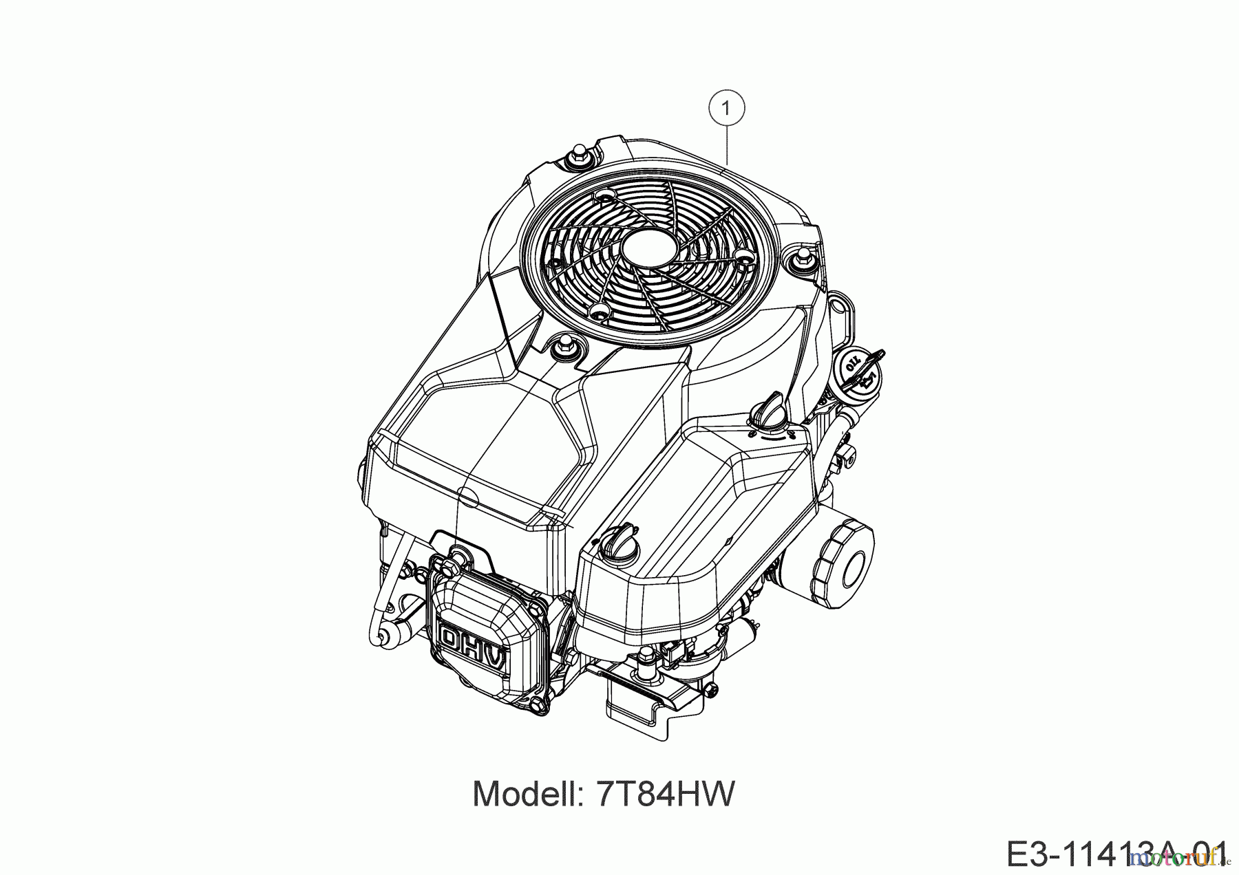  Wolf-Garten Rasentraktoren 96.130 T 13A776WF650  (2020) Motor